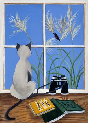 Framed Birdwatcher Print