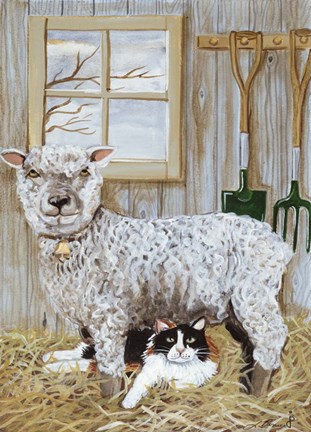 Framed Sheep And Cat Print
