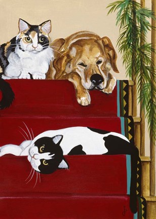 Framed Lazy Naps Print