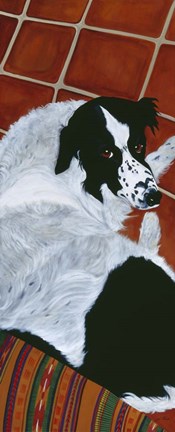 Framed Willy And His Big Brown Eyes Print