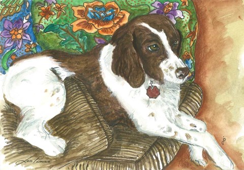 Framed Chester Print