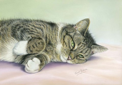 Framed Attention Seeker Print