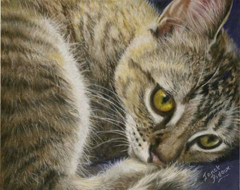 Framed Bright Eyes Print