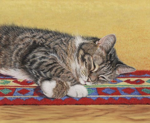 Framed Sleepy Sam Print