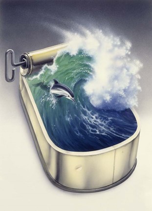 Framed Dolphin In Wave Print