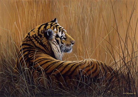 Framed Tiger In Grass Print