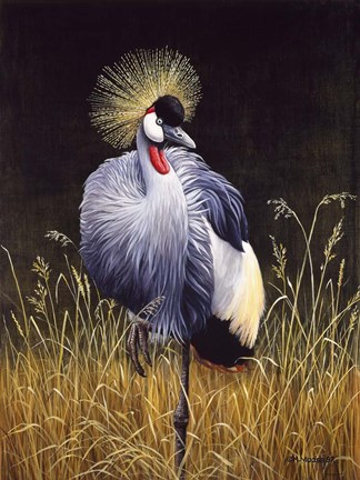 Framed Crowned Crane Print