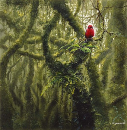 Framed Vermilion Flycatcher Print