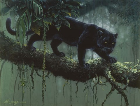Framed Black Jaguar Print
