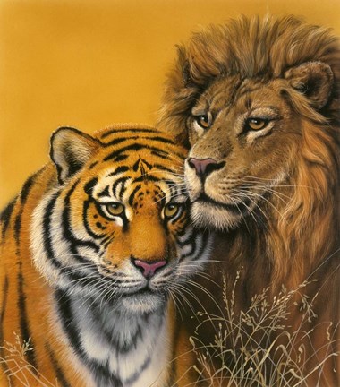 Framed Lion &amp; Tiger Print
