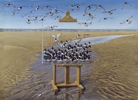 Framed Oyster Catchers Print