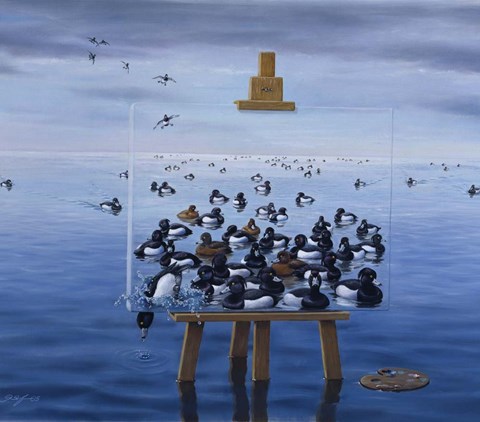 Framed Tufted Ducks Print