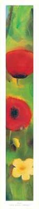 Framed Papaveri Print