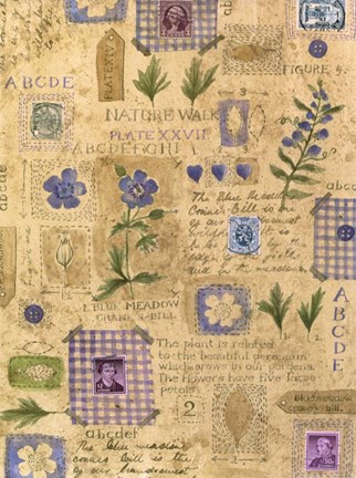 Framed Nature Walk Print