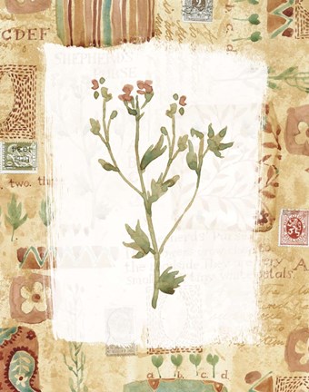 Framed Orange Flower 2 Print