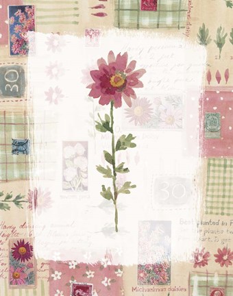 Framed Michaelmas Daisy Print