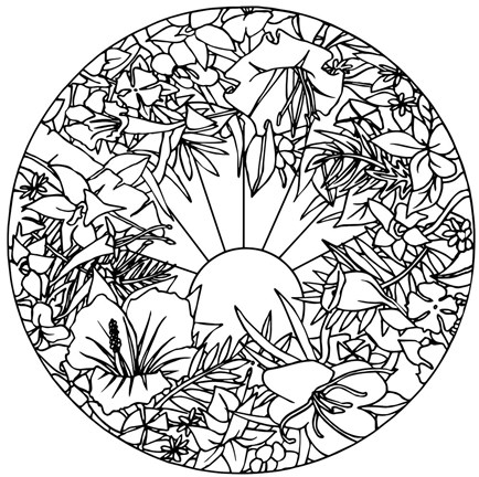 Framed Circle Fleurs Print