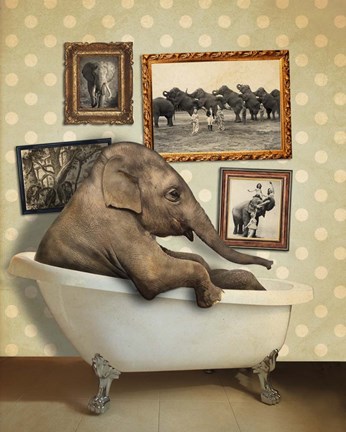 Framed Elephant In Tub Print