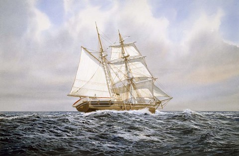 Framed Brigantine Print