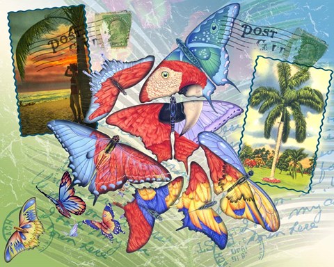 Framed Butterfly Postcards Print