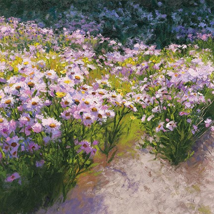 Framed Buckhorn Aster Show Print