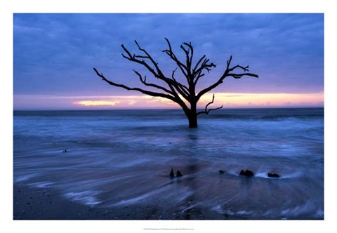 Framed All that Remains Print