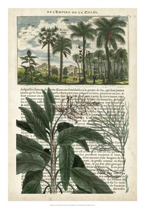 Framed Journal of the Tropics I Print