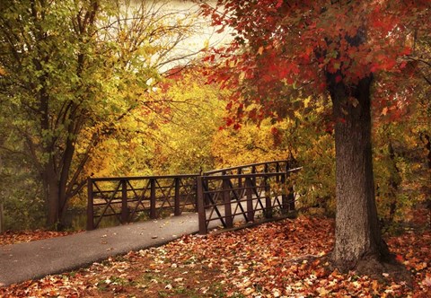 Framed Autumn Footbridge Print