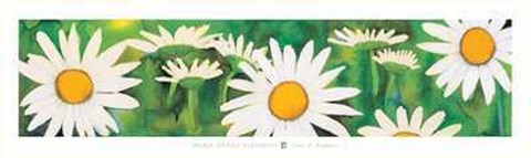 Framed Campo di Margherite Print