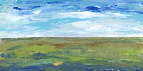Framed Vast Land II Print