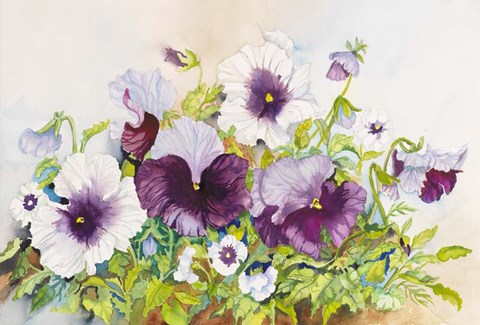 Framed Early Pansies Print