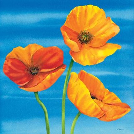 Framed Papaveri Nel Blu Print