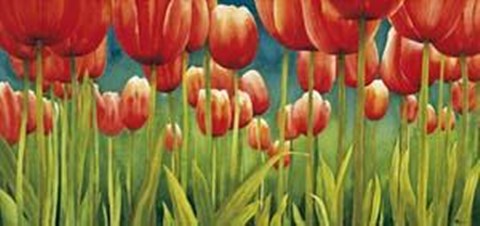 Framed Mg Luffarelli - Fra I Tulipani Print