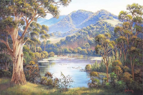 Framed Macleay Valley Morning Print