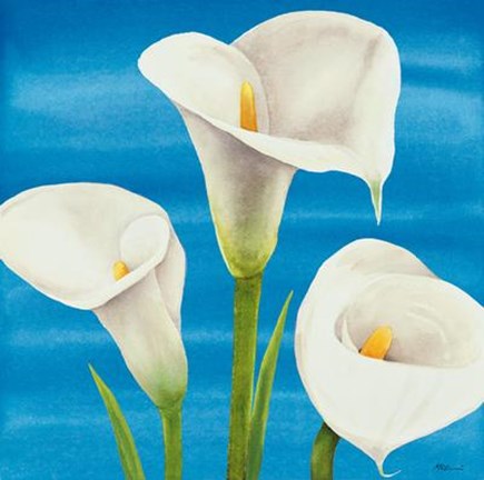 Framed Calle Bianche Print