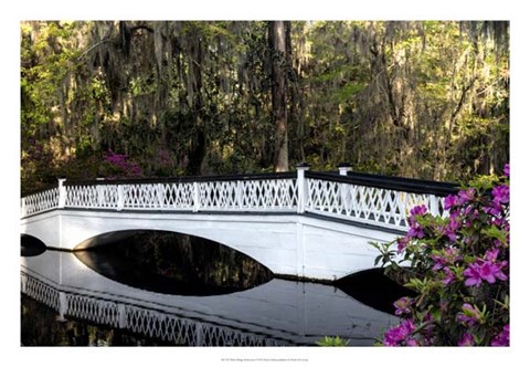 Framed White Bridge Reflections Print