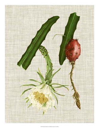 Framed Elegant Tropicals II Print