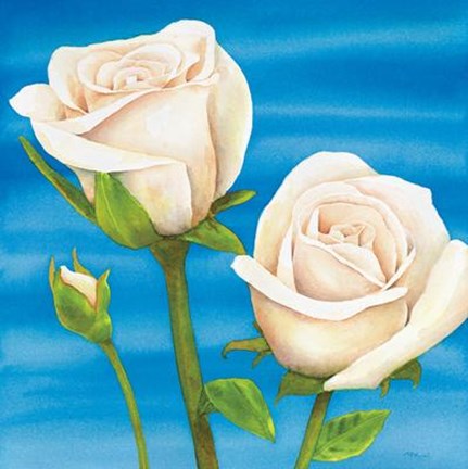 Framed Rose Bianche Print