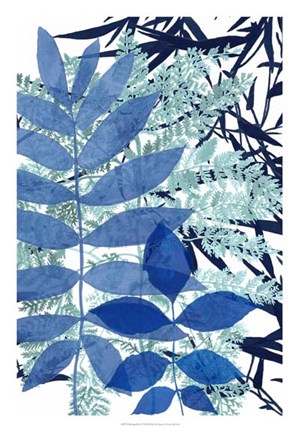 Framed Morning Dew II Print