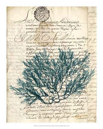 Framed Vintage Teal Seaweed I Print