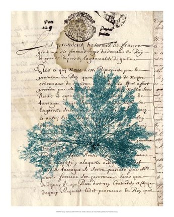 Framed Vintage Teal Seaweed III Print