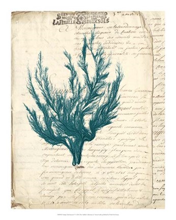 Framed Vintage Teal Seaweed V Print
