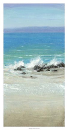 Framed Salt Spray II Print