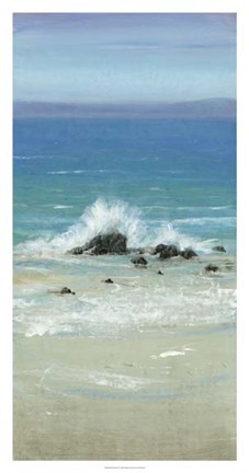 Framed Salt Spray III Print