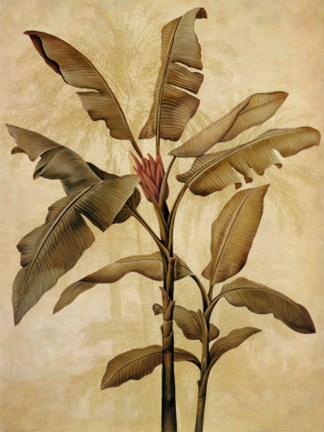 Framed Palms of the Tropics I Print