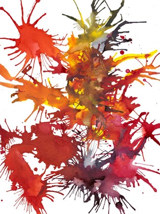 Framed Fireworks Display I Print