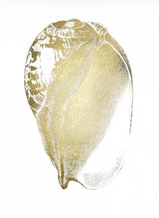 Framed Gold Foil Shell IV Print