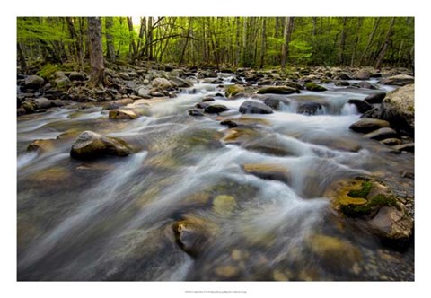 Framed Golden Flow Print