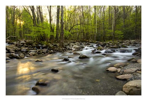 Framed Morning Sunshine I Print