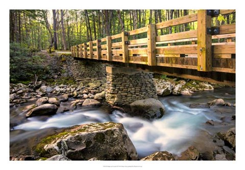 Framed Bridge and Cascade II Print